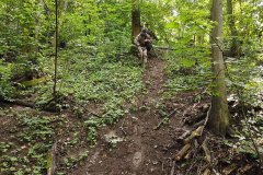 DJI_0451011