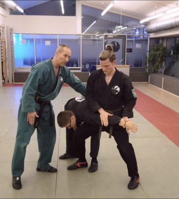 1. VIDEO-KURS KEMPO Weiß-Gurt