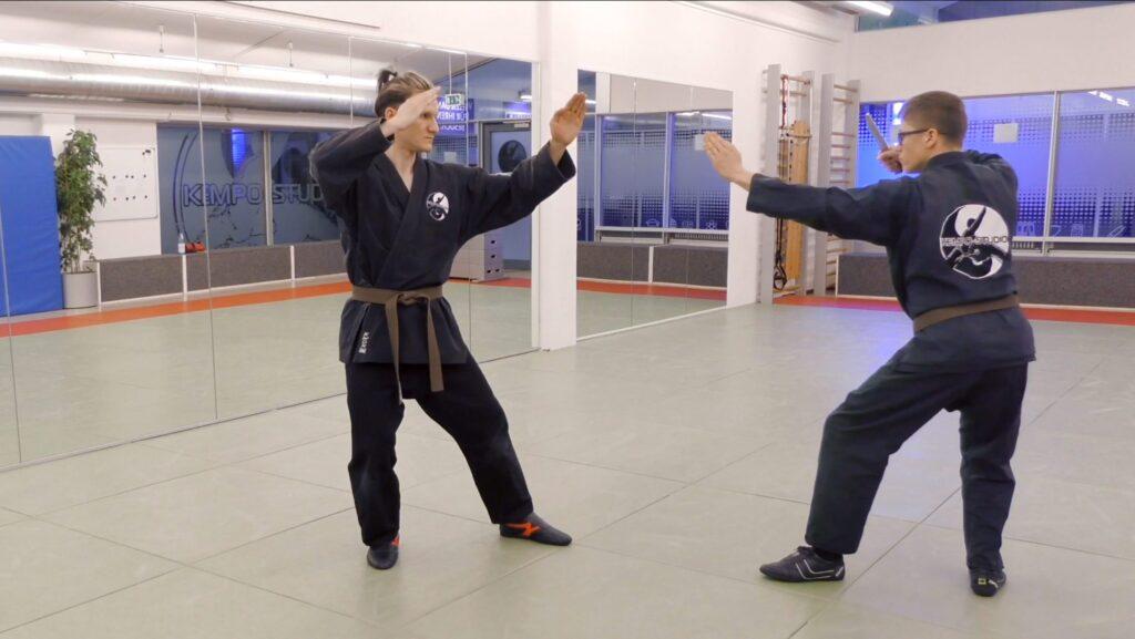 1. VIDEO-KURS KEMPO Weiß-Gurt
